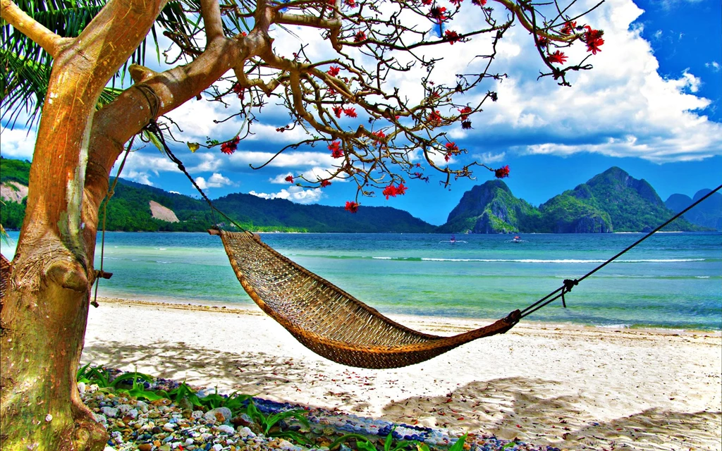 Wallpapers Exotic Beach Grass Hammock Nature Summer Landscape Sea ...