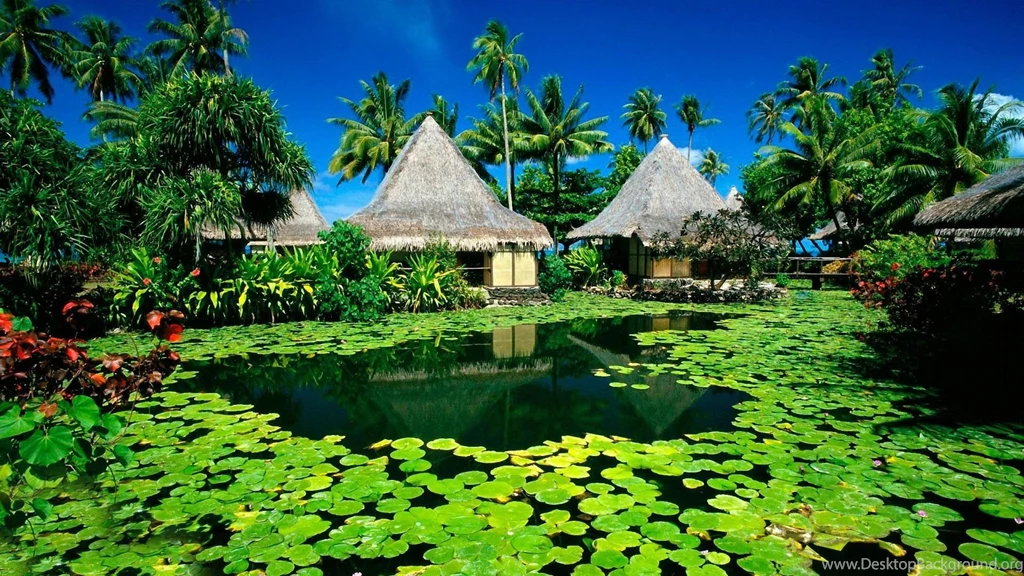 Exotic Resort Wallpapers   Free Wide HD Wallpapers
