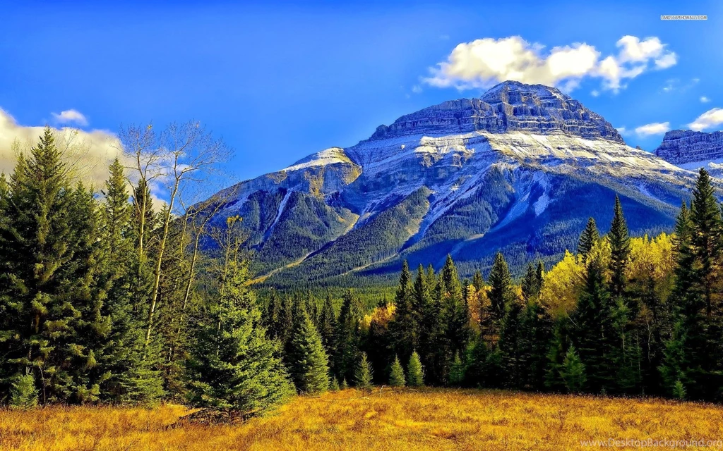 Rocky Mountains And Autumn Forest Wallpapers