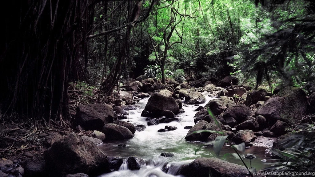 20 Amazing Nature Full Hd Wallpapers 1080p 4.jpg