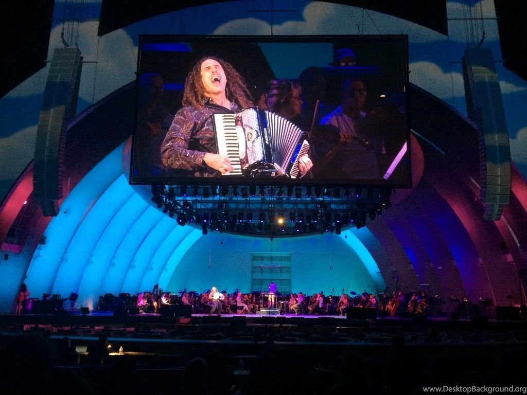 The Simpsons Take The Bowl