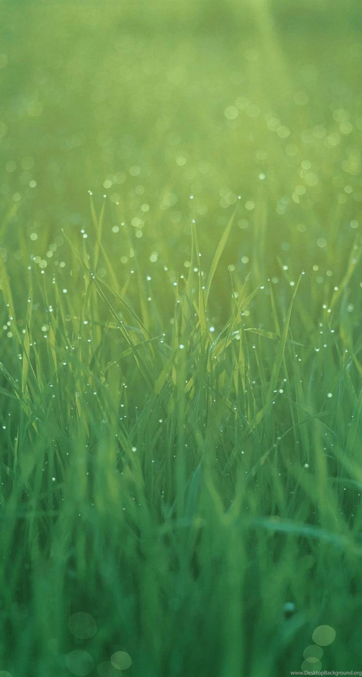 33 New Wallpapers From IOS 7 For iPhone & IPod Touch