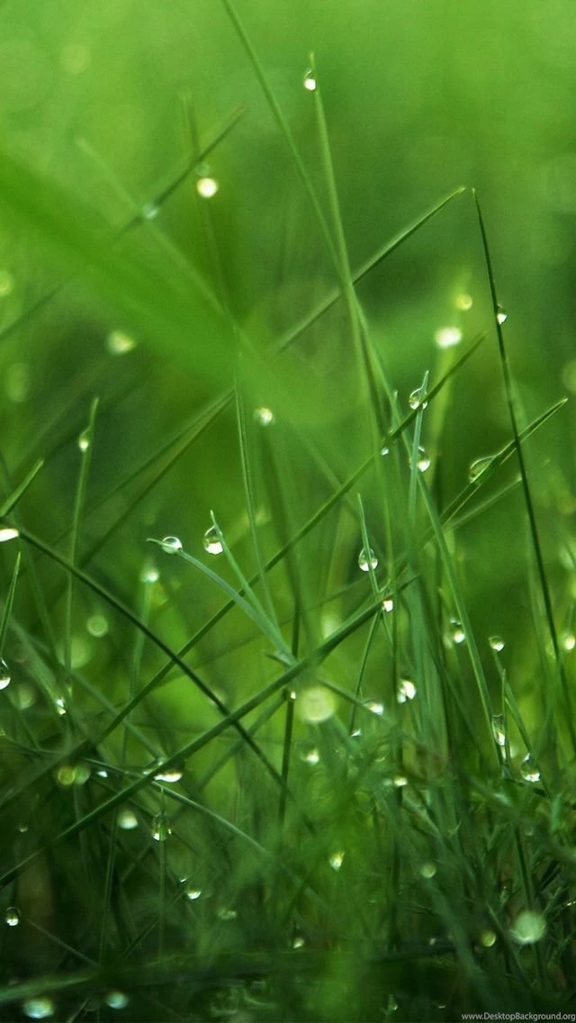 Most Popular Black iPhone 5s Wallpapers