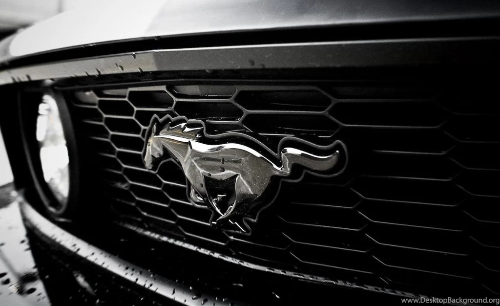 Ford Mustang Logo Wallpapers Image