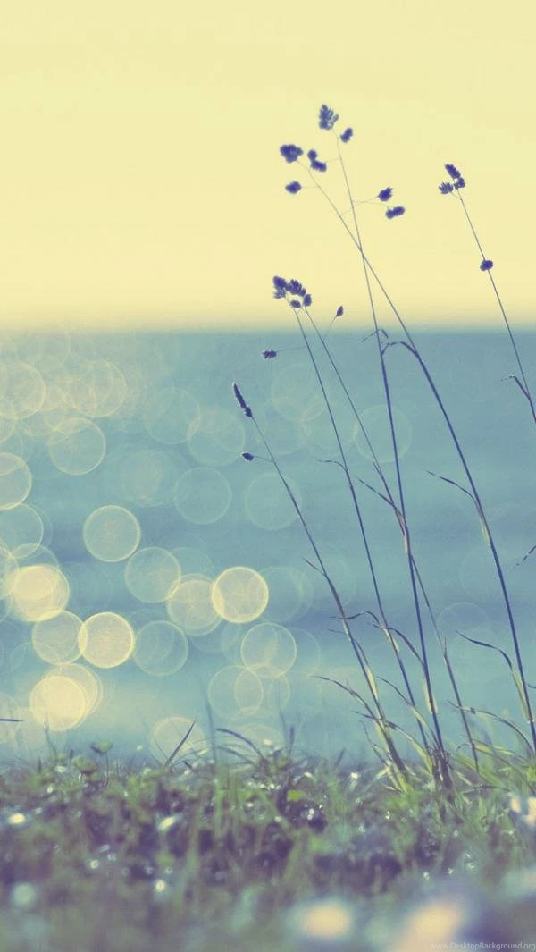 50+ Examples Of iPhone 5 Wallpapers Desktop Background