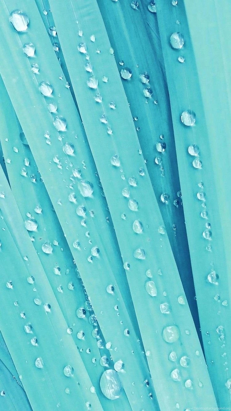 Wallpapers Iphone 6 Grass Detail Drops 4 7 Inches 750 X 1334 ...