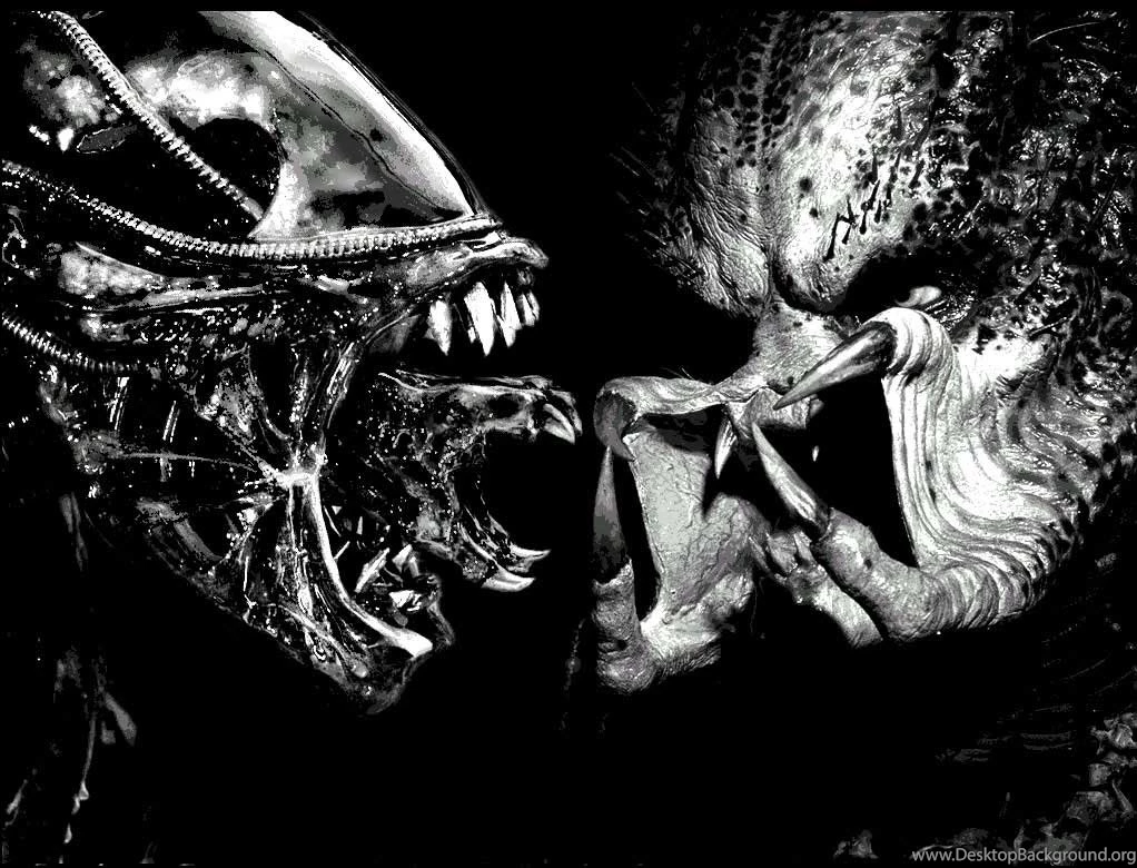 1022x780px Alien Vs Predator