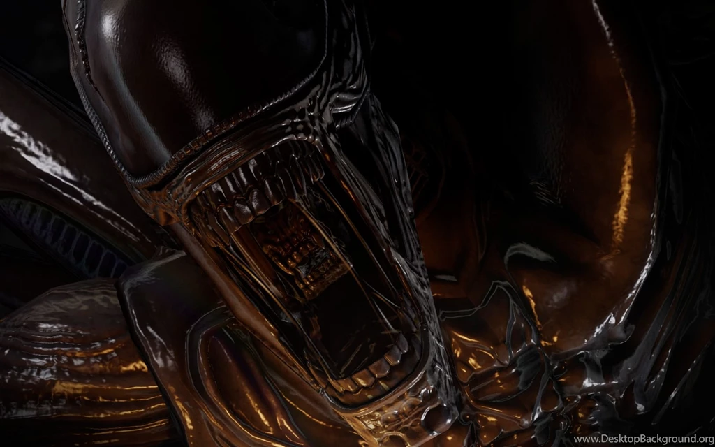 Alien Vs Predator, Queen, 1920x1200 HD Wallpapers And FREE Stock Photo