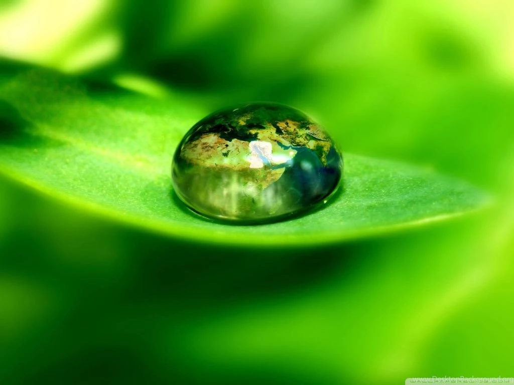 World On A Green Leaf HD Desktop Wallpapers : Widescreen : High ...