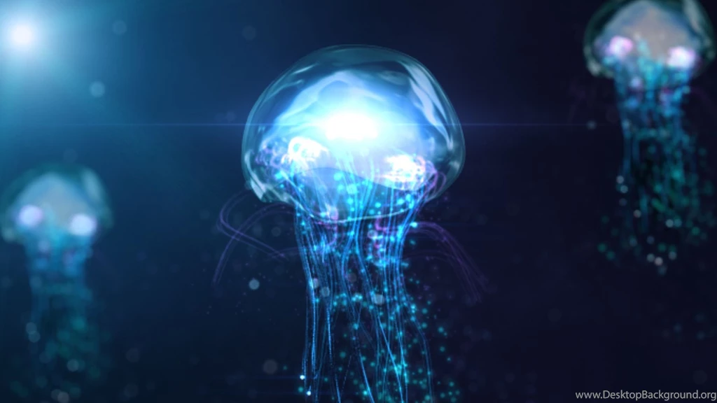 Jellyfish Wallpapers