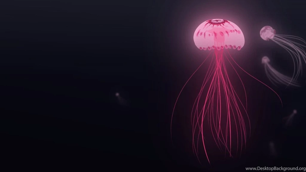 Cool Jellyfish Drawing Wallpaper.