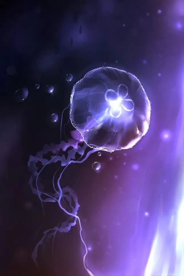 Purple Jellyfish Iphone 4s Wallpapers Download Desktop Background
