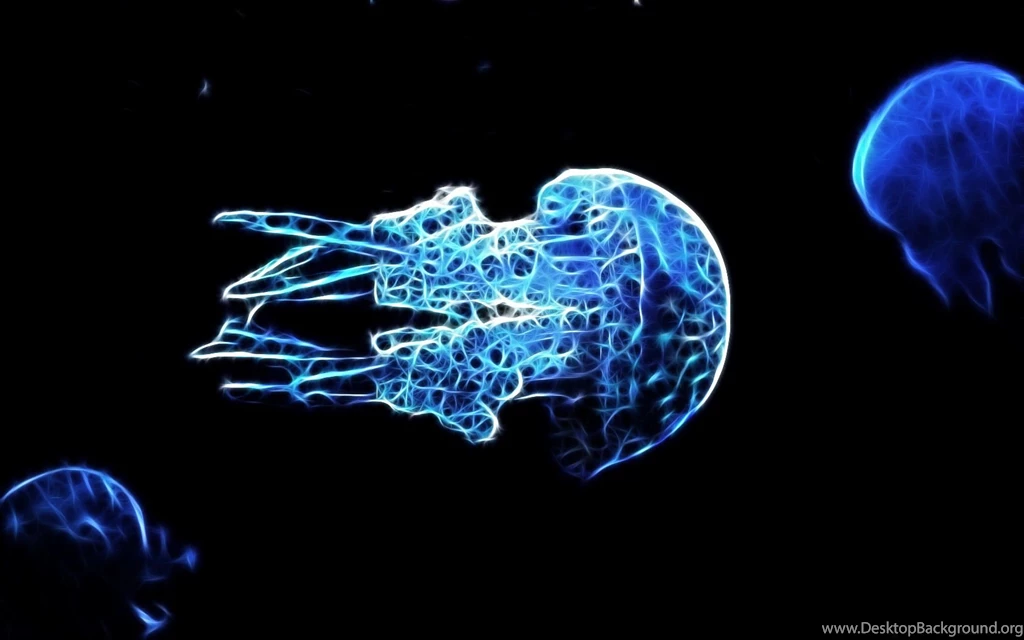 Jellyfish Computer Wallpapers, Desktop Backgrounds