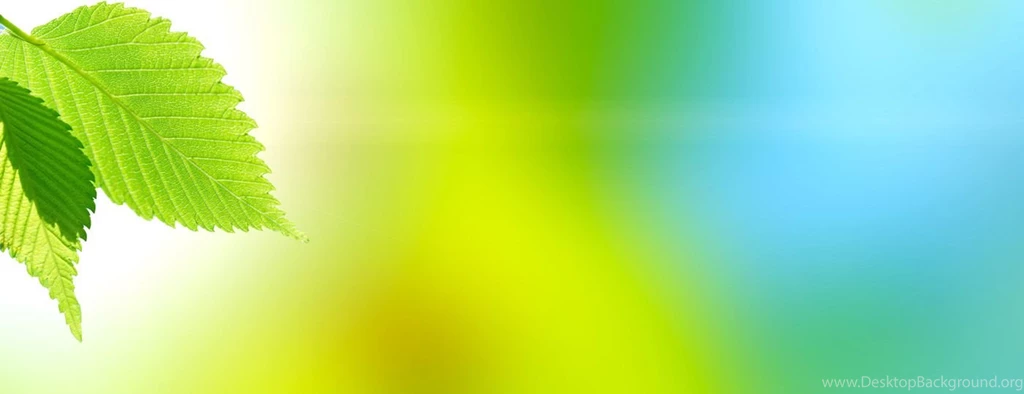 Green Leaves 30496 Flowers And Leaves Flowers