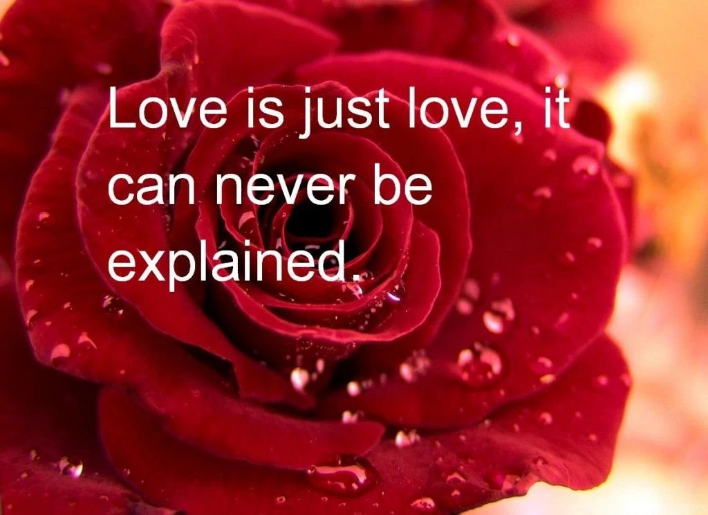 Deep Love Quotes Wallpapers