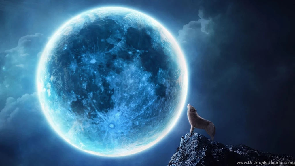 1920x1080 Howling Wolf Full Moon Wallpapers