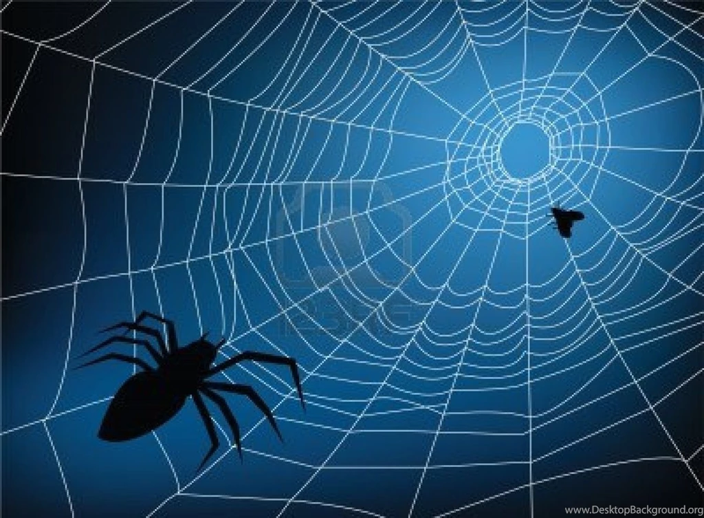 Spider Web Backgrounds Wallpapers Cave