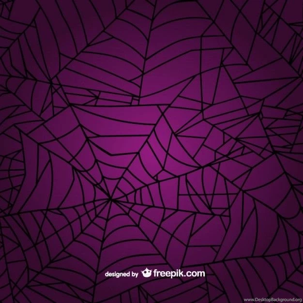 Spider Web Backgrounds Vector
