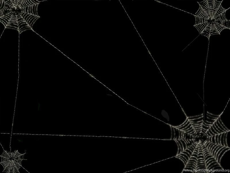 Web Wallpapers ~ Toptenpack.com