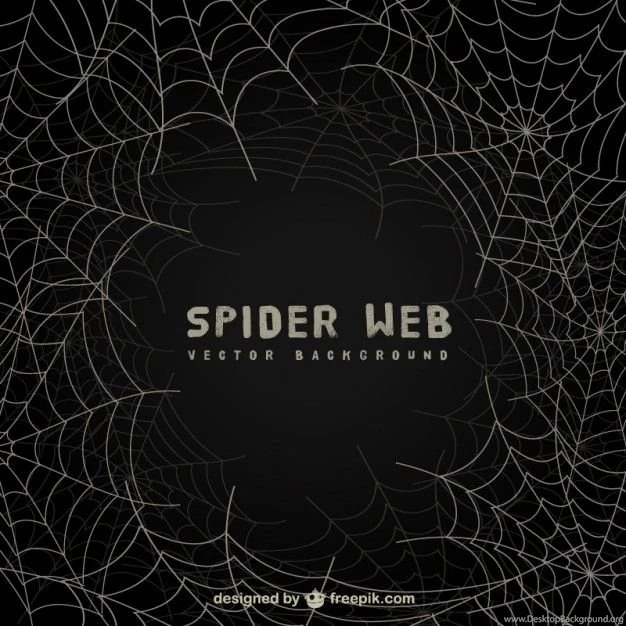 Spider Web Backgrounds On Blackboard Vector