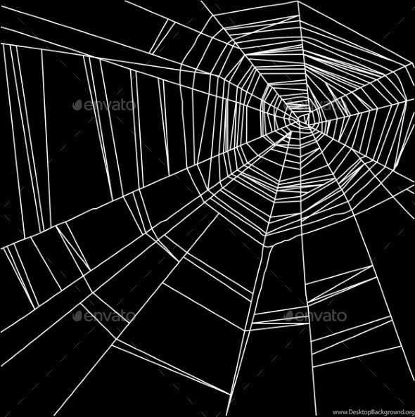 Spider Web Backgrounds