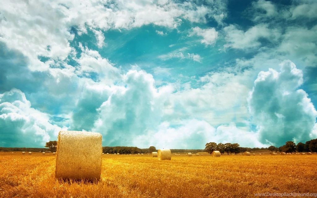 Peaceful Wallpapers