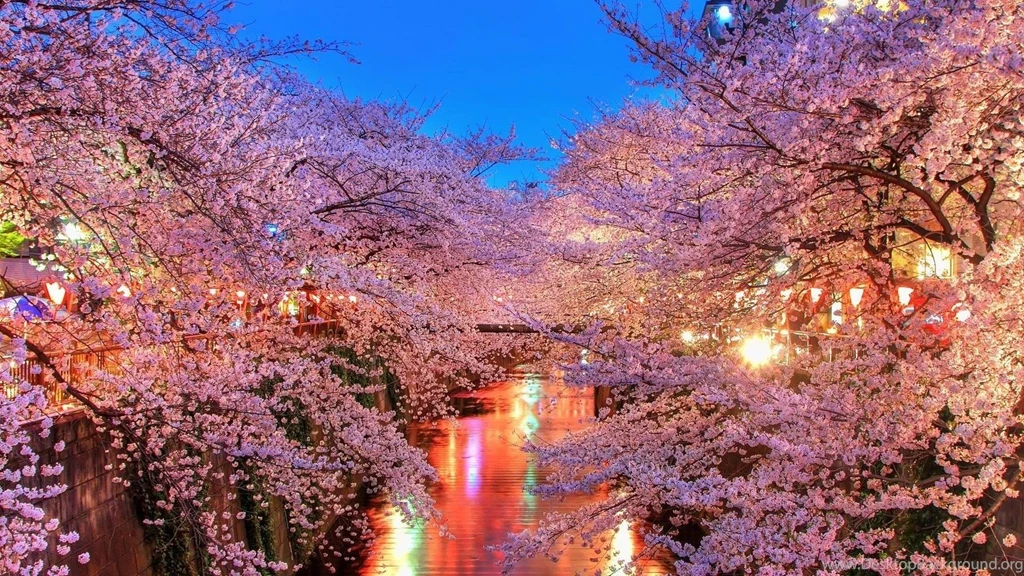 Peaceful River >> HD Wallpaper, Get It Now!