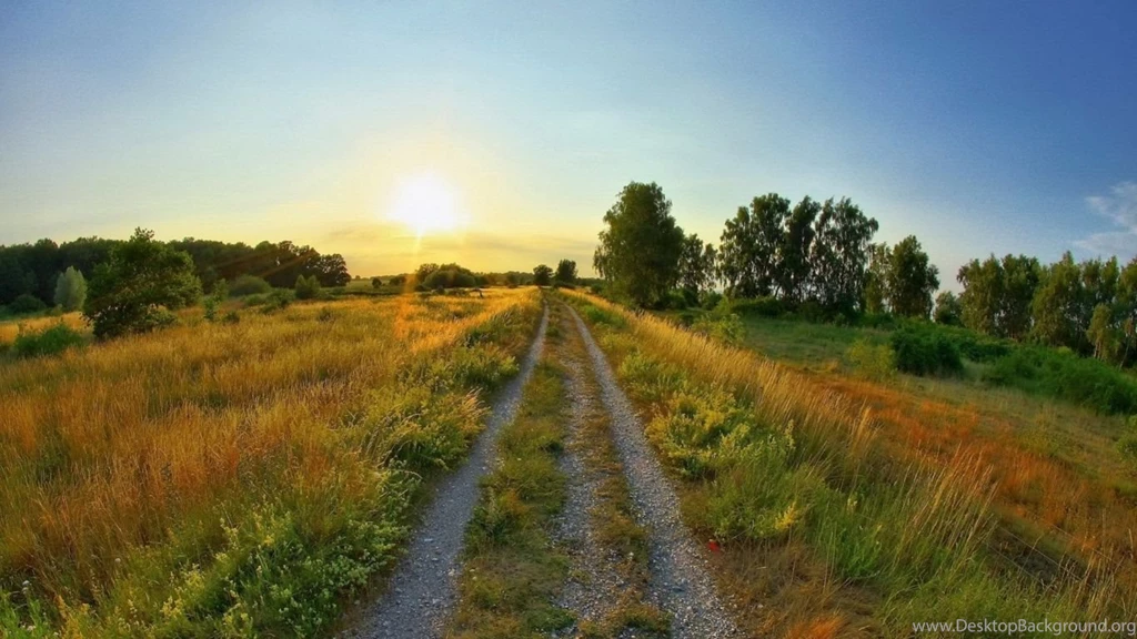 1366x768 Peaceful Summer Way Desktop PC And Mac Wallpapers