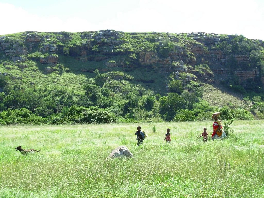Safeguarding The Wild Coast On The Set Of Blood Diamond Case ...
