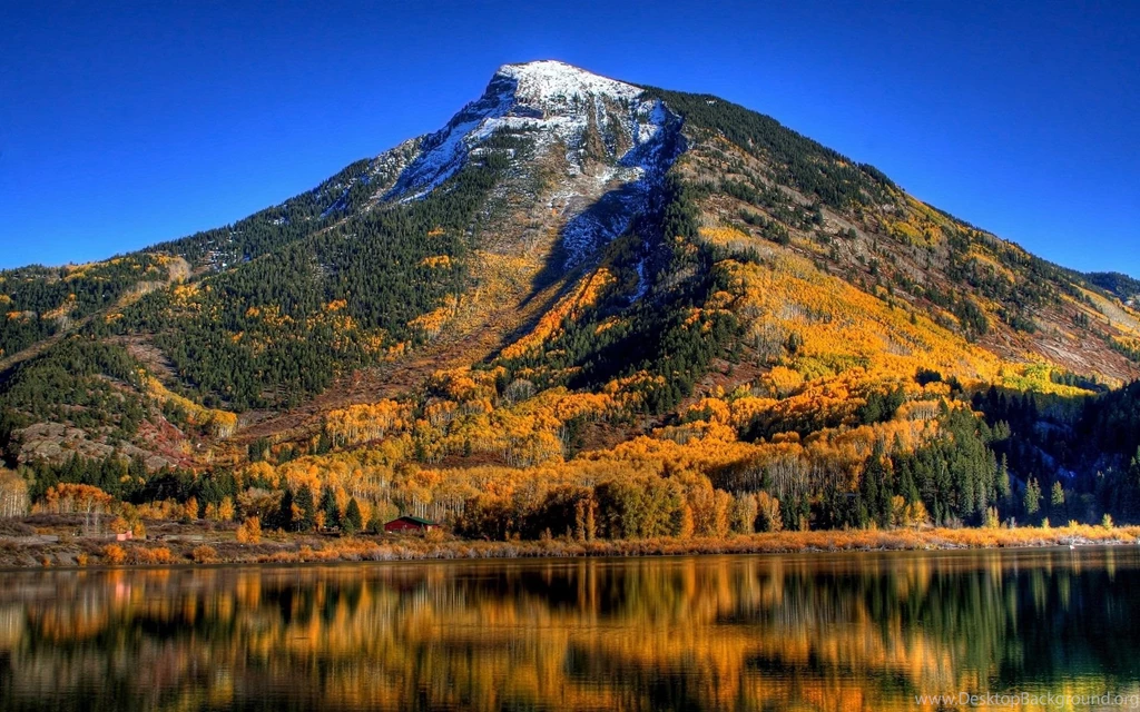Computer Website Backgrounds Wallpapers 78197