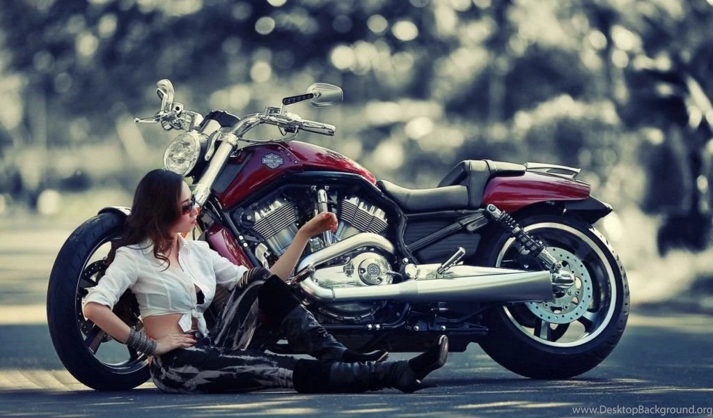 Wallpapers Harley Davidson Bike