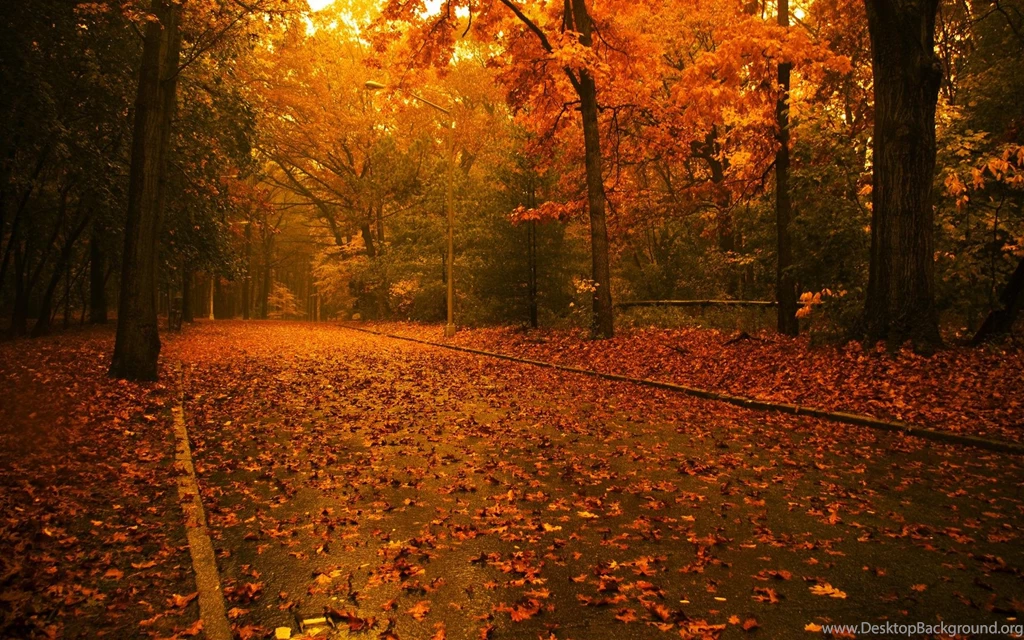 Wallpapers For Fall Backgrounds For Computer Screen