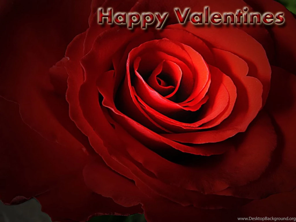 Valentine Day Backgrounds Wallpapers Christmas Day Wishes Or ...