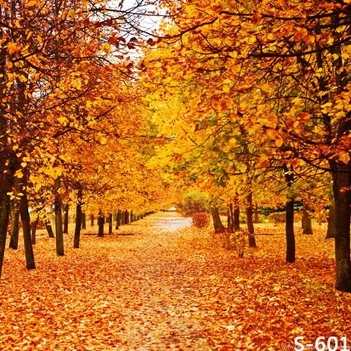 Online Get Cheap Autumn Leaves Backgrounds Aliexpress.com ...