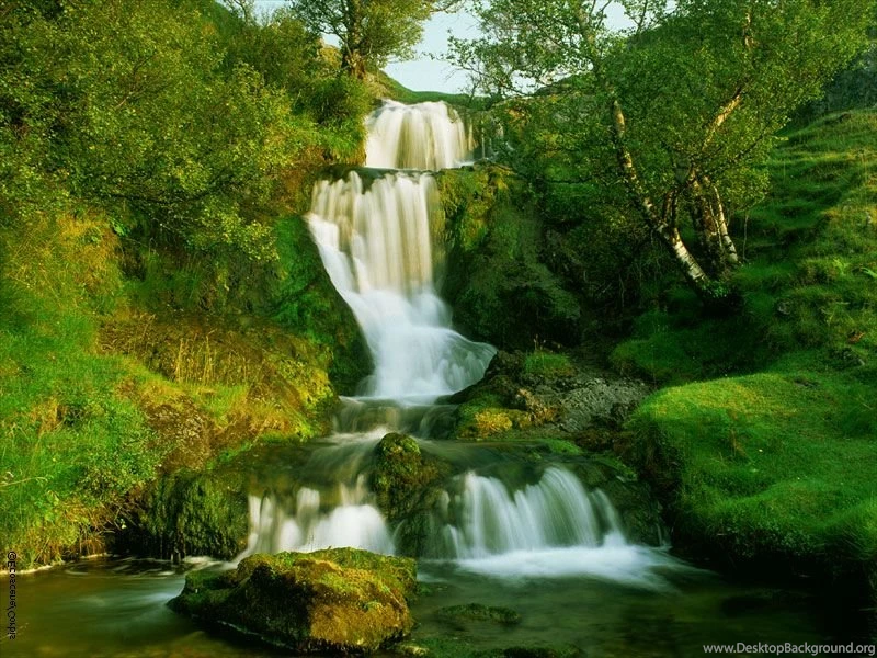 Download Animated Wallpapers Wallpapers HD Fine