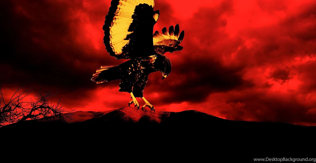 Horus Sun God Bird Of Prey Sunset Best