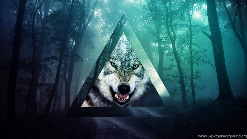 Tumblr Fog Forests Hipster Png Wallpapers