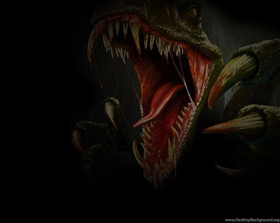 Wild Animal Wallpapers, Animal Kingdom, Cool Pets, Free Wallpapers ...