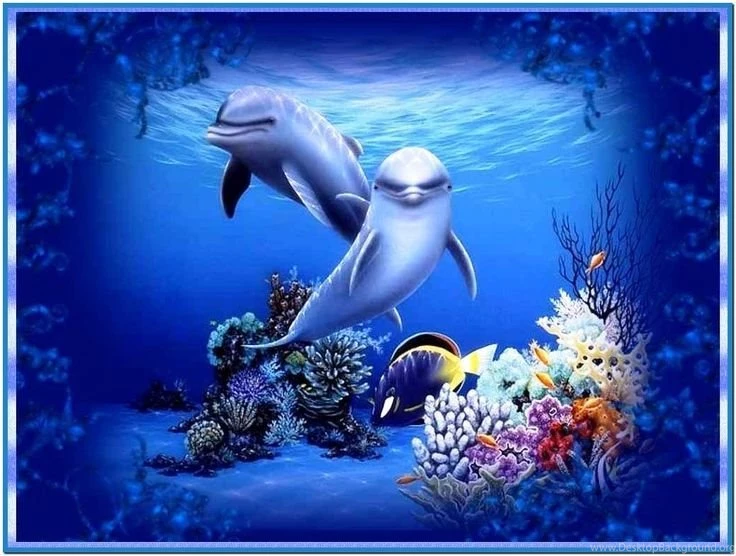 Moving Screensavers On Pinterest