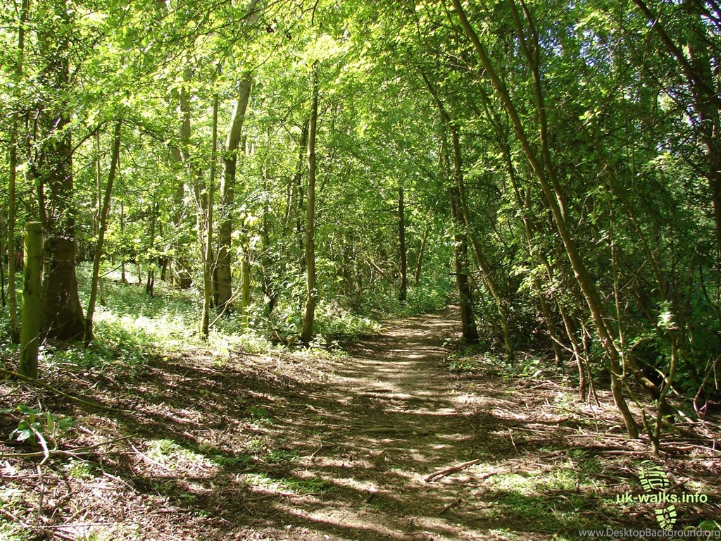Desktop / Wallpapers Rutland Water UK Walks