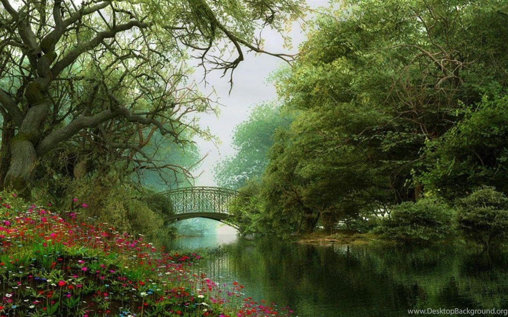 Woodland Waterway   (