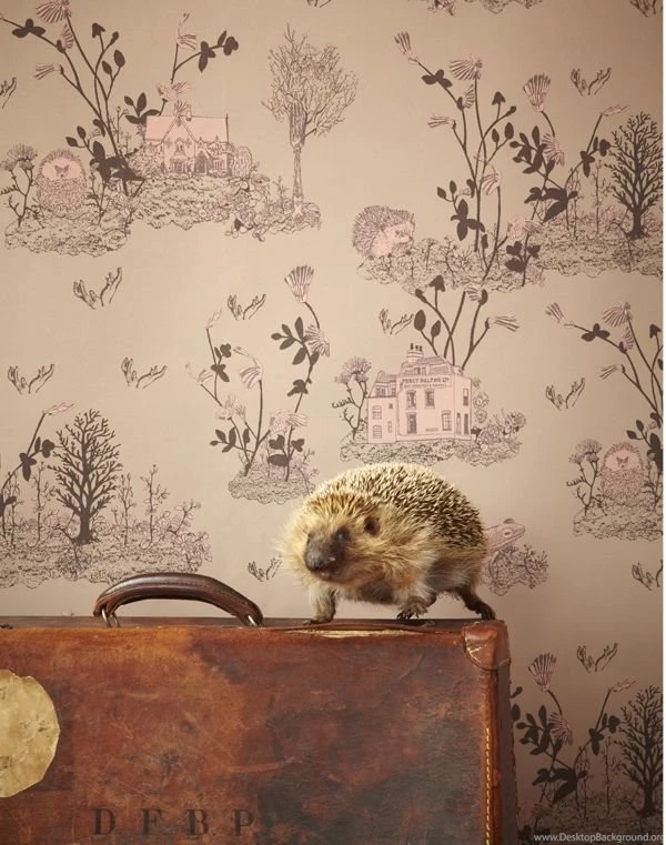 Woodlands Wallpapers   Brown Pink — Sian Zeng