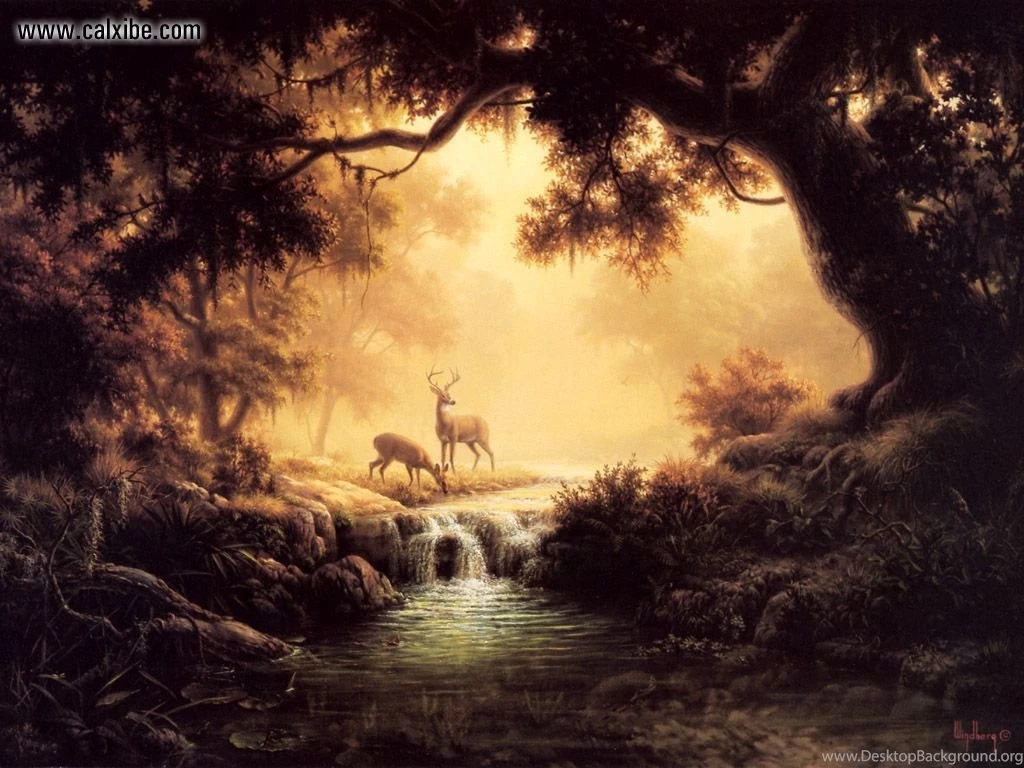 Drawing & Painting: Woodland Reflections By Dalhart Windberg ...