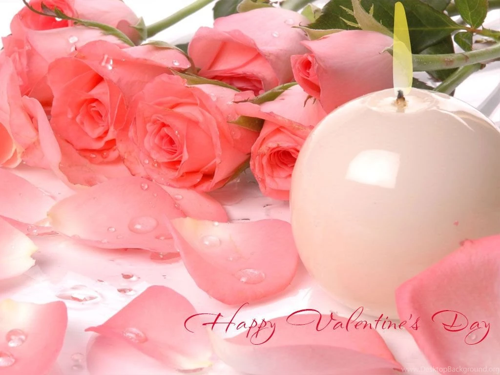 Rose Day Images Pictures Wishes Wallpapers Pics Photos