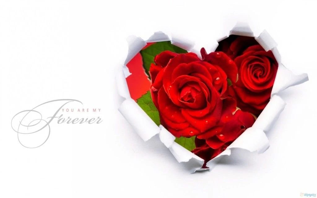 Valentine Day Rose Wallpapers HD Valentines Day Gallery 2016