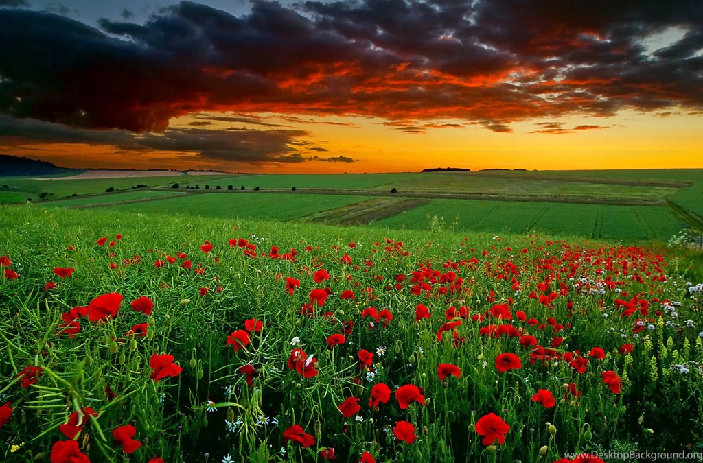 Nature Landscapes Desktop Wallpapers ~ Toptenpack.com