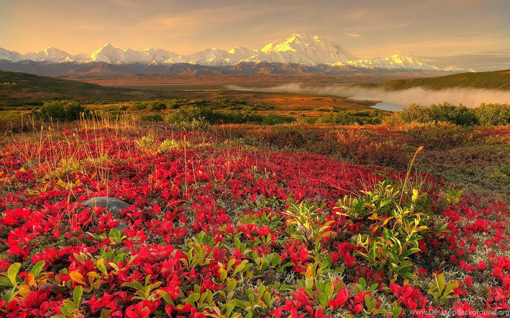 Spring, Wallpaper, Desktop, Landscape, Title (