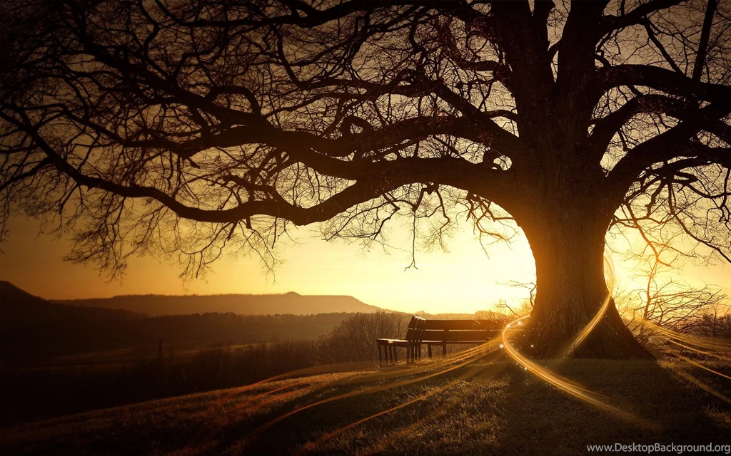 High Definition And High Resusolution Wallpapers