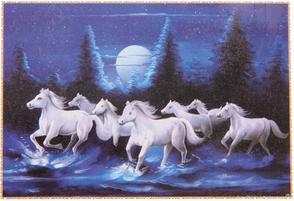 Bm Traders Beautiful 7 White Horses Rolled Poster Big Paper Print ...