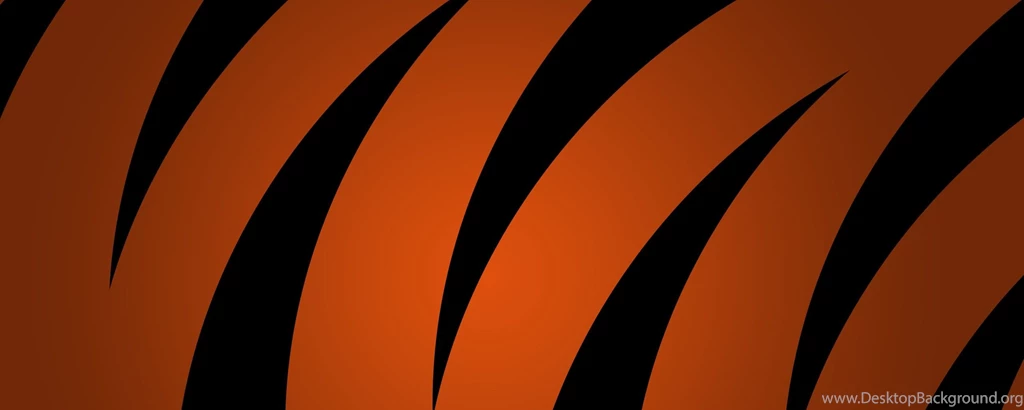 Tigers Duel Dual Monitor Bengals